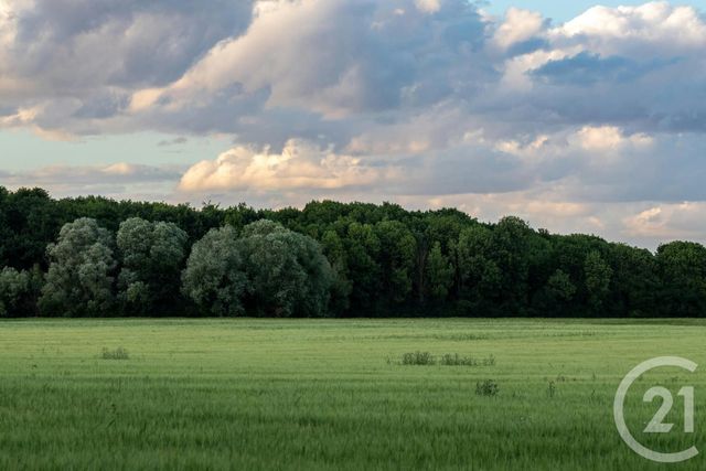 terrain à vendre - 1561.0 m2 - ST HUBERT - 57 - LORRAINE - Century 21 Côté Est Immobilier