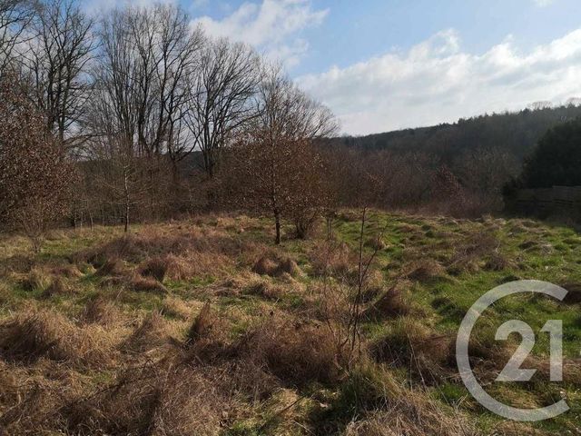 terrain à vendre - 1602.0 m2 - ST HUBERT - 57 - LORRAINE - Century 21 Côté Est Immobilier
